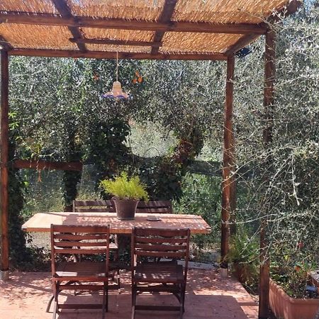 La Merla Del Tasso Camaiore Exteriér fotografie
