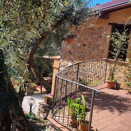 La Merla Del Tasso Camaiore Exteriér fotografie