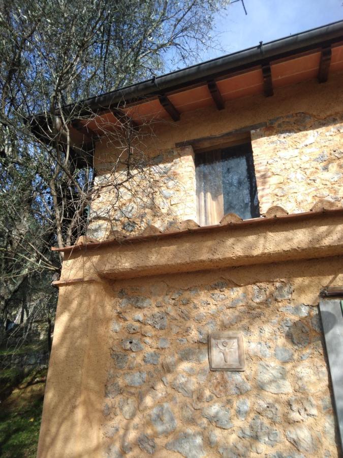 La Merla Del Tasso Camaiore Exteriér fotografie