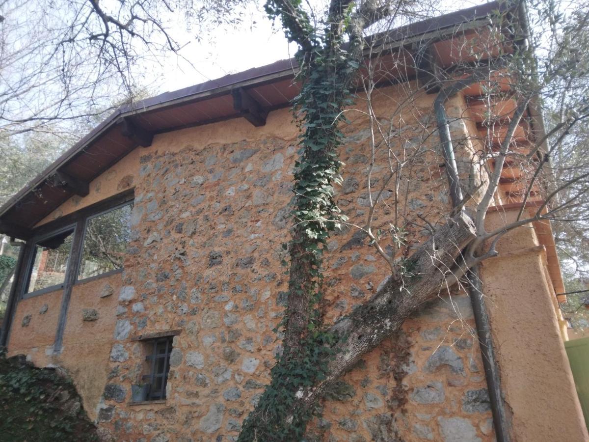 La Merla Del Tasso Camaiore Exteriér fotografie
