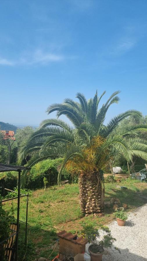 La Merla Del Tasso Camaiore Exteriér fotografie