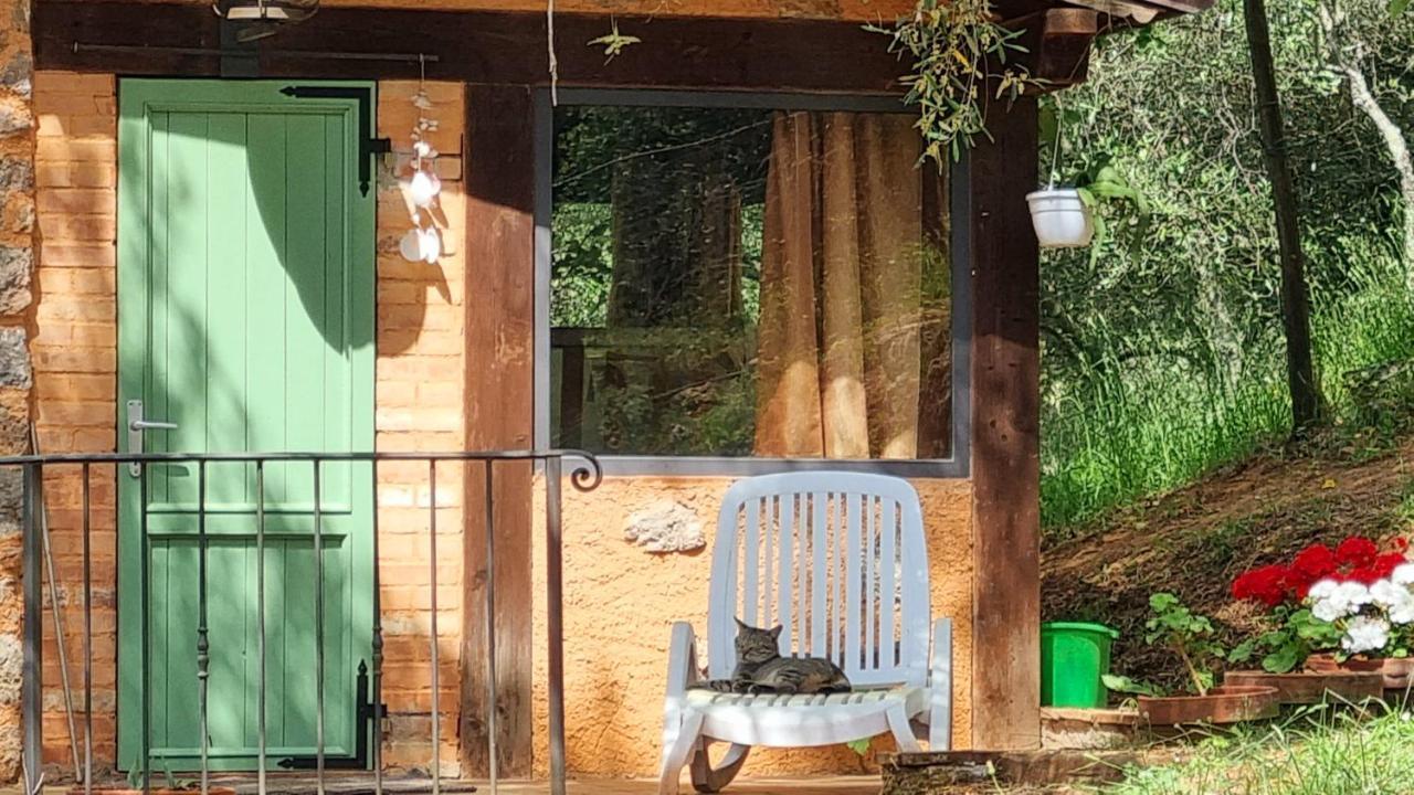 La Merla Del Tasso Camaiore Exteriér fotografie