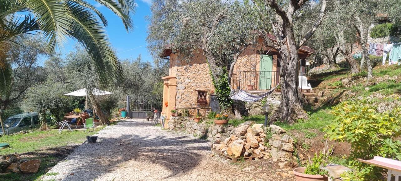 La Merla Del Tasso Camaiore Exteriér fotografie